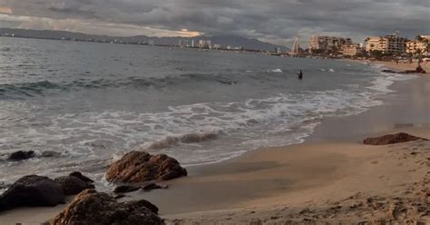 Red tide is a type of algal bloom, which is a sudden, large increase in the number of microscopic organisms living in a body of water. . Red tide puerto vallarta